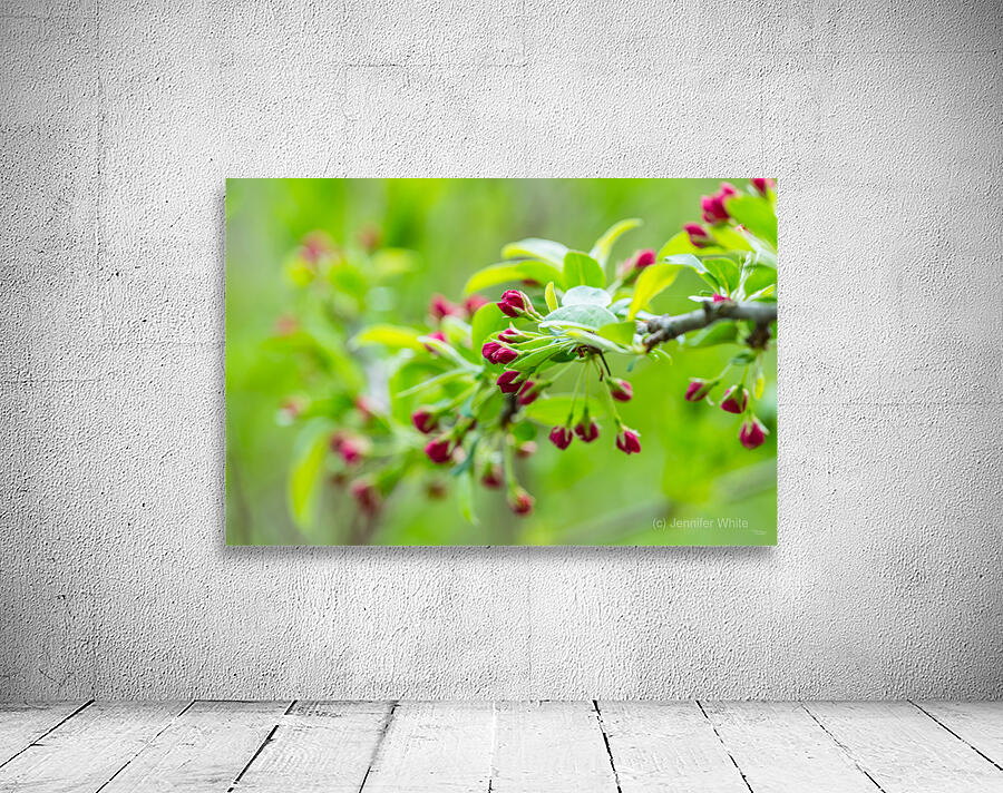 Spring Season Branches Wall Preview