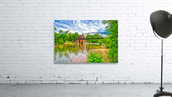 War Eagle Painterly Wall Preview