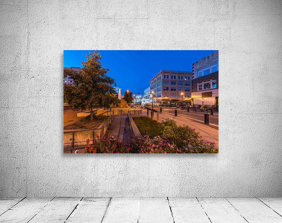 Springfield Park Central Square Night Wall Preview