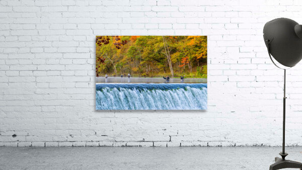 Fisherman Casting At Bennett Springs Wall Preview