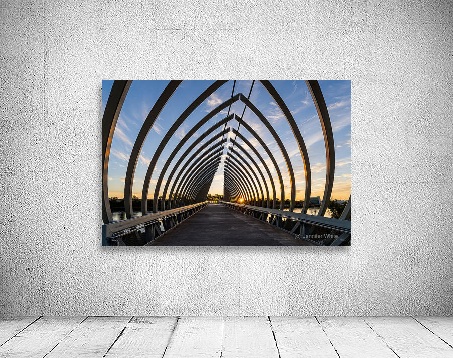 Sun Star Sunrise Throuh Farnam Pier Wall Preview