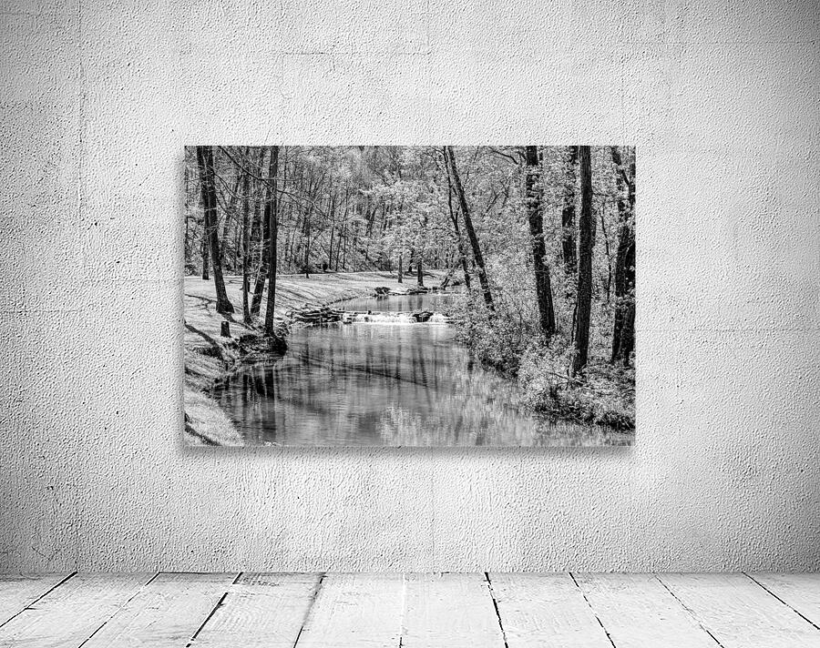 Spring Season Tranquility Grayscale Wall Preview