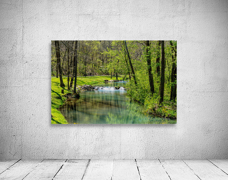 Green Spring Tranquility Wall Preview