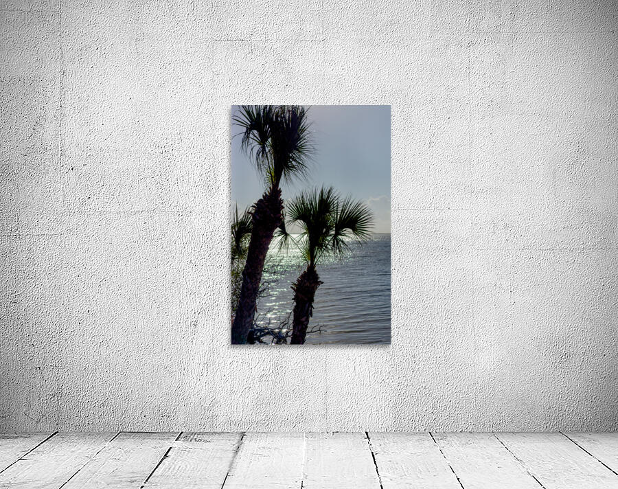 Two Palm Trees Evening Silhouette Wall Preview