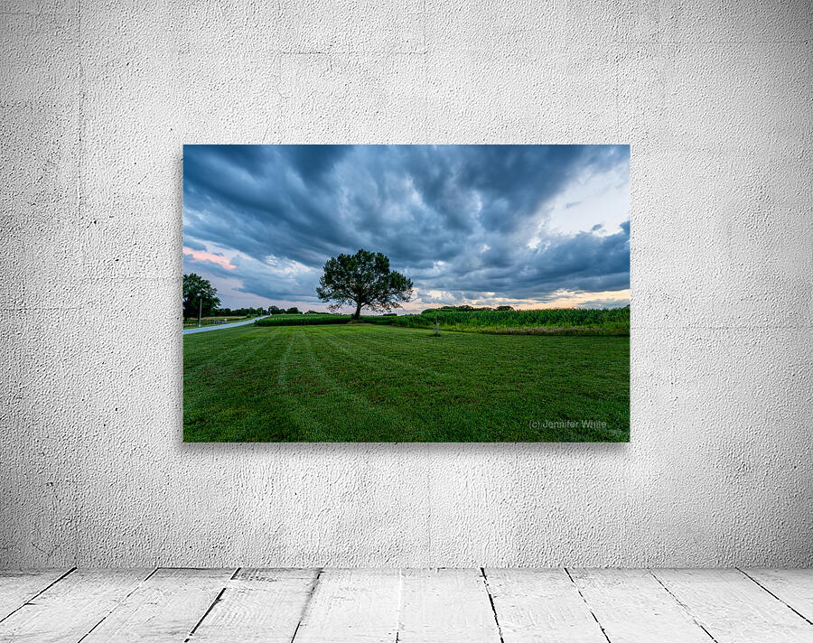 Country Road And Oak Tree Sunset Wall Preview