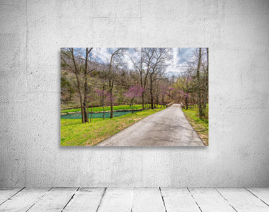 Walking Path On Spring Season Day Wall Preview