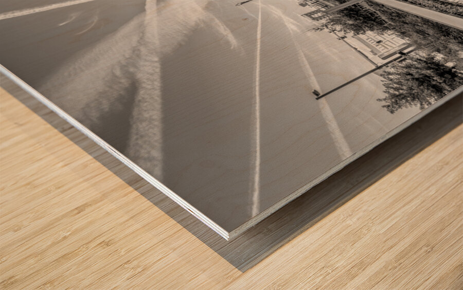 Gene Leahy Mall Lake Morning Grayscale Wood print