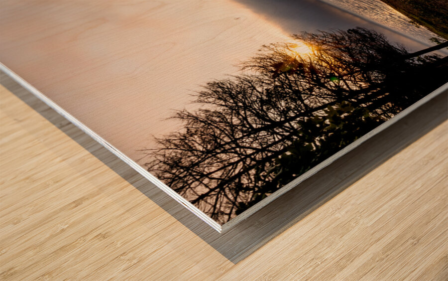 Tree Stump Snap By The Shoreline Wood print