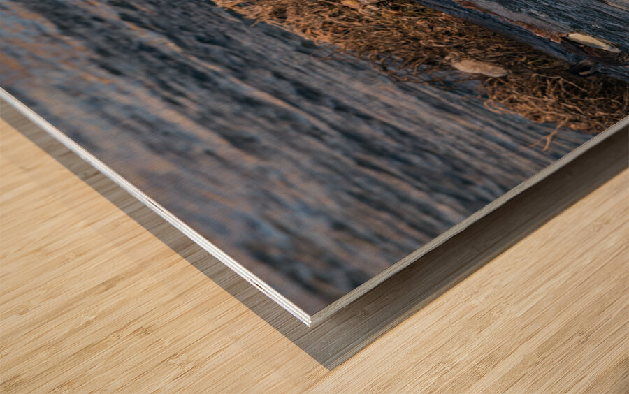 Canada Geese And Rapids Wood print