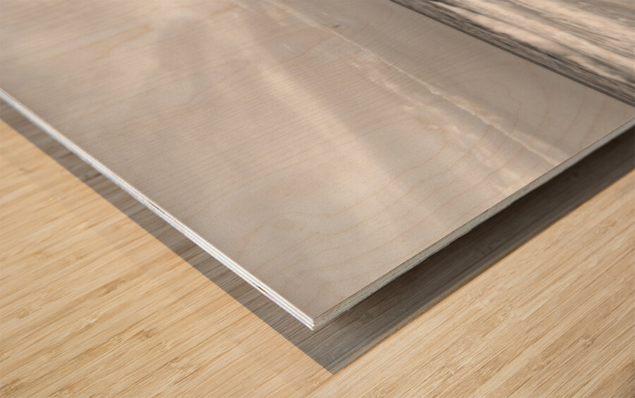 Rolling Waves Navarre Beach Pier Grayscale Wood print