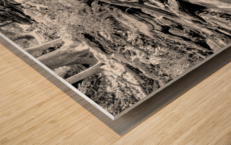 Tanyard Creek Rushing Water Grayscale Wood print