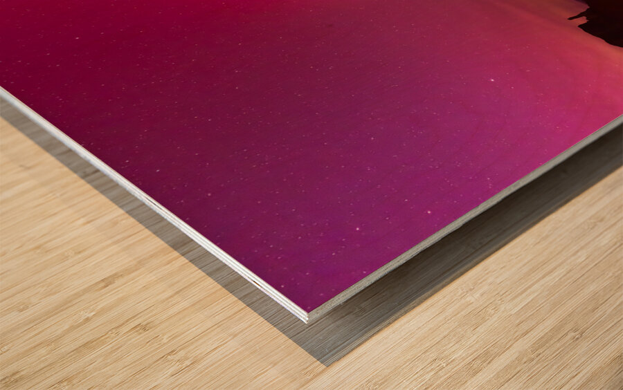 Monument Valley Northern Lights Wood print