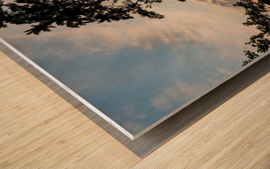 Curvy Tree Golden Sunset Wood print