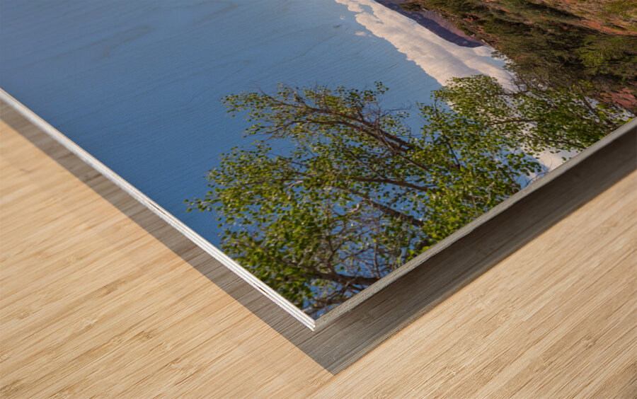 Professor Creek Utah Hiking Trail Wood print