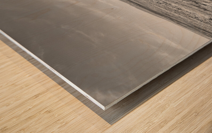 Utah Railroad And Mountains Grayscale Wood print