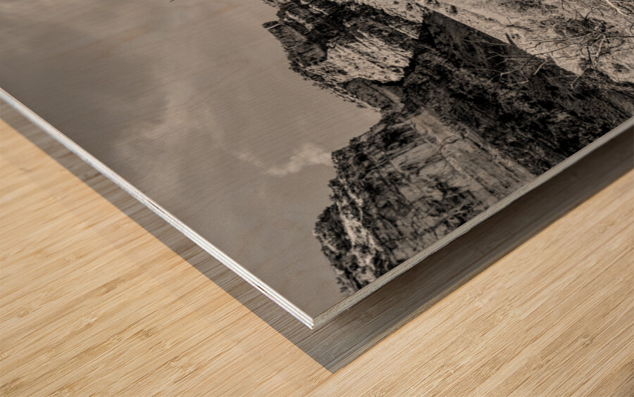 Dead Tree Colorado River Utah Grayscale Wood print