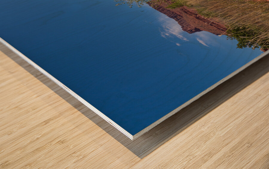 Professor Creek By A Bluff Wood print