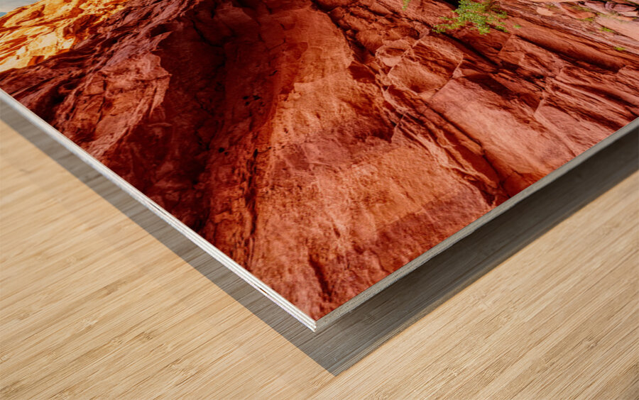 Small Waterfall Mary Jane Canyon Wood print