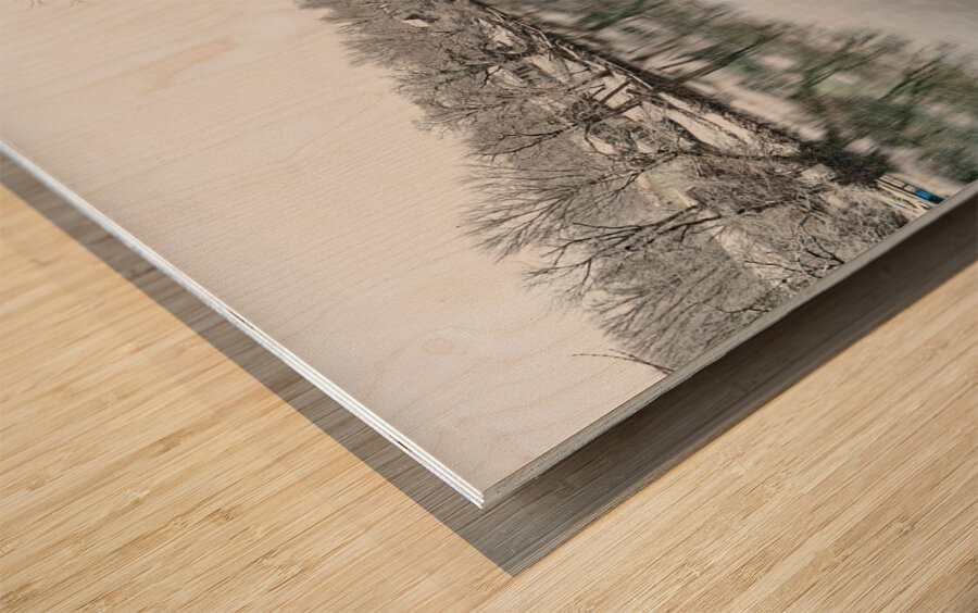 Snowing At The Finley River Wood print