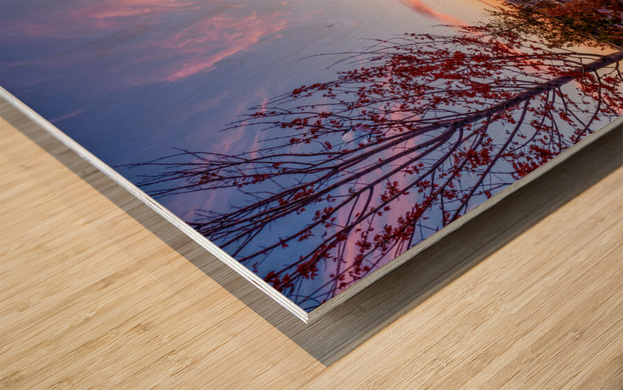 Pink Sunrise At Farnam Pier Wood print