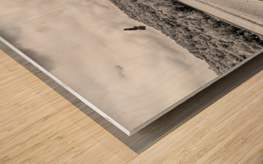 Hawk Over Little Golden Gate Grayscale Wood print