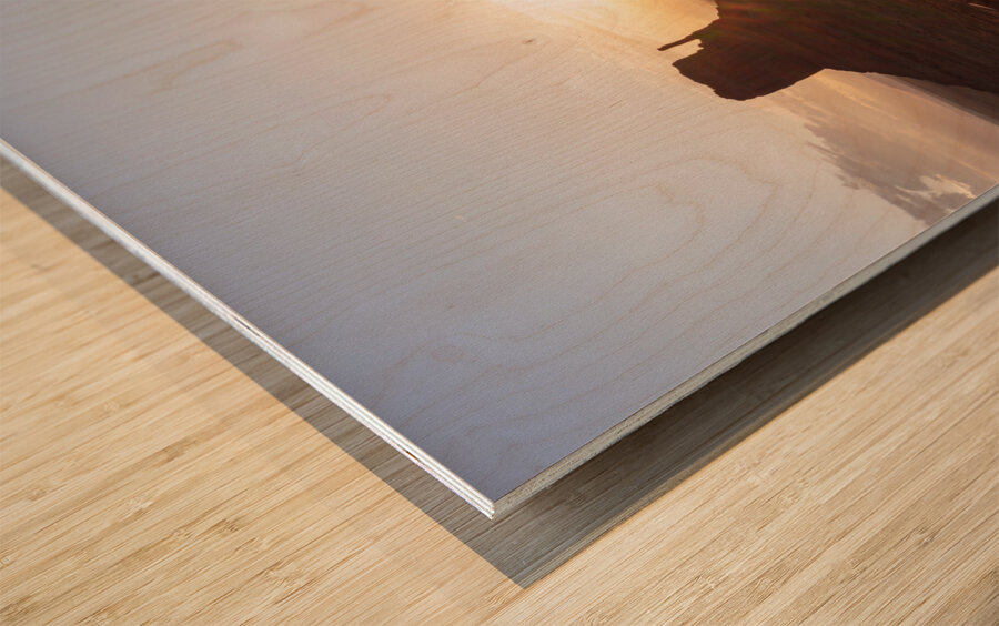 Yellow Flowers Monument Valley Sunrise Wood print