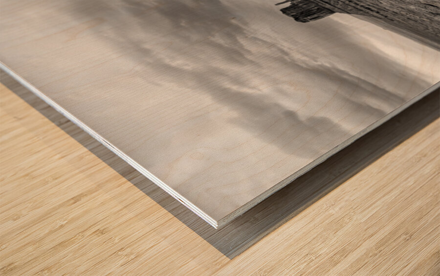 Evening At Monument Valley Pano Grayscale Wood print