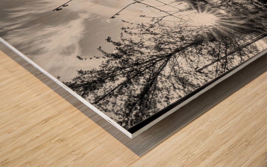 Omaha Skate Park Golden Sun Star Grayscale Wood print