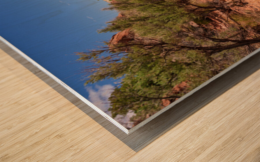 Pathway Through Grand Staircase Escalante Wood print