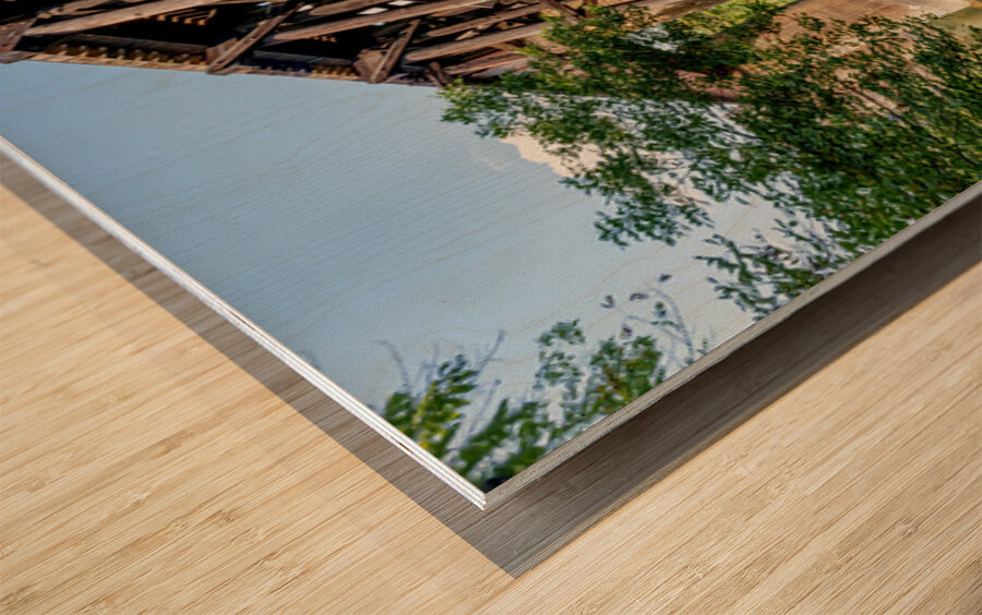 Path Under Old Railroad Bridge Wood print