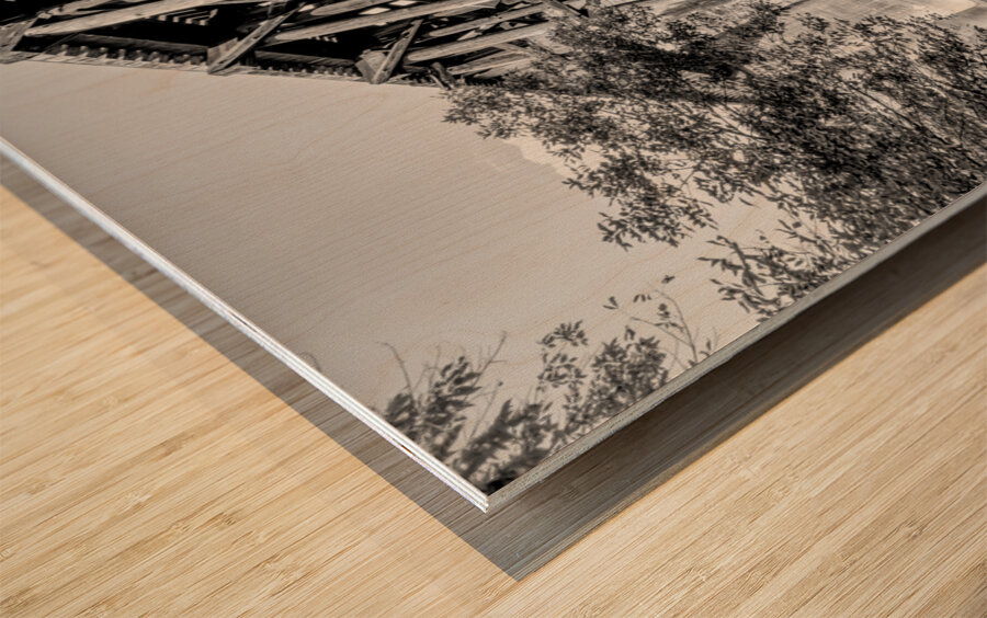 Path Under Old Railroad Bridge Grayscale Wood print