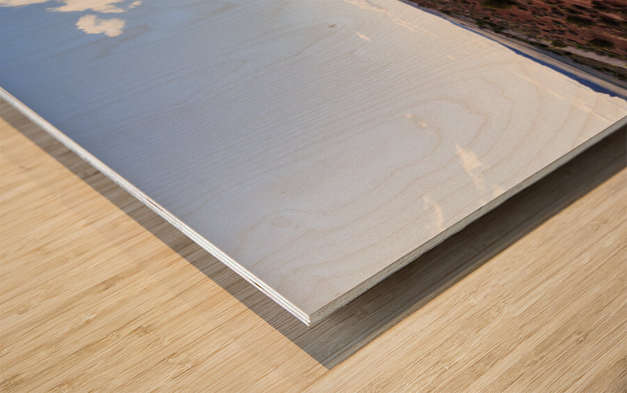 Arches Skyline Arch And Road Wood print