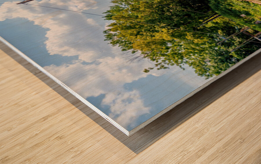 Rope Swing Big Spring Arkansas Wood print