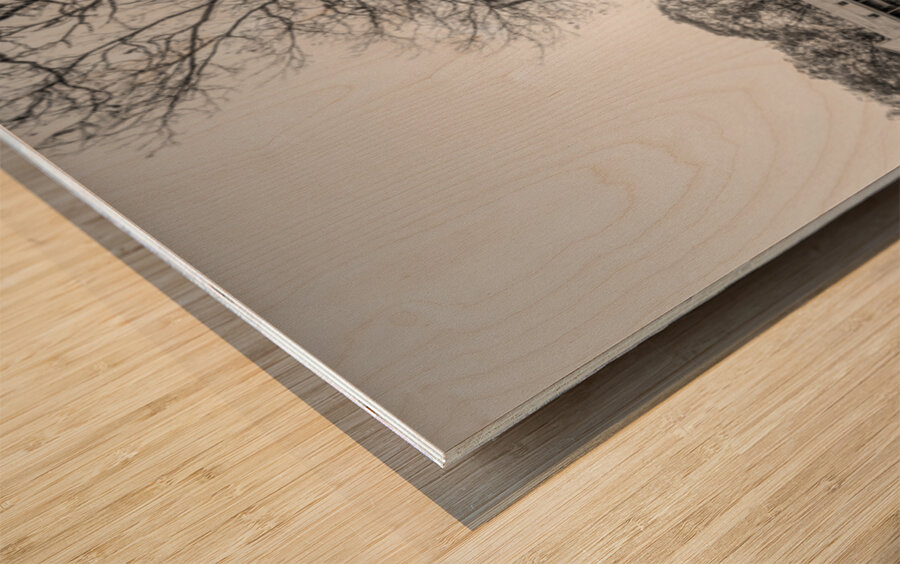 Evening Sunburst Topaz Mill Grayscale Wood print