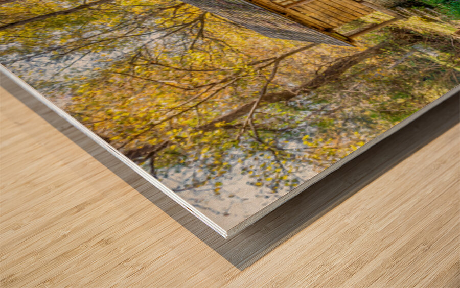 Rustic Charm Of Reeds Spring Mill Wood print