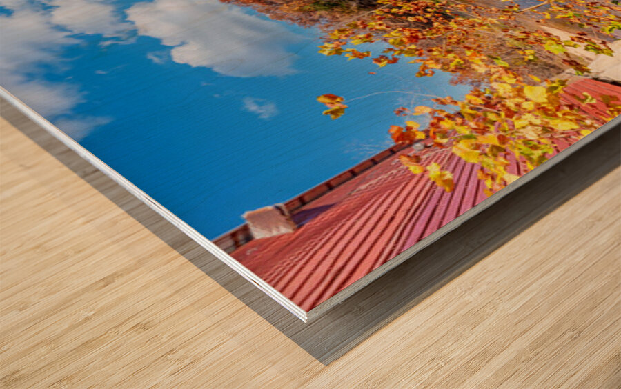 Rockbridge Mill Dam View Wood print