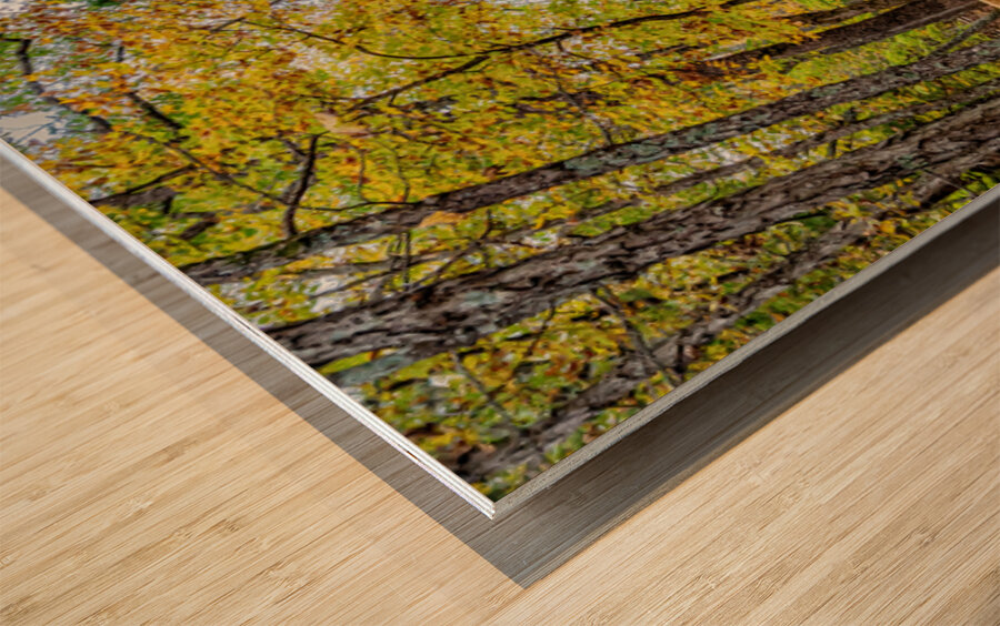 Vintage Concord One Room Schoolhouse Wood print