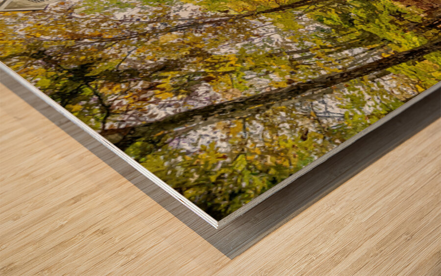 Old One Room Schoolhouse Concord Wood print