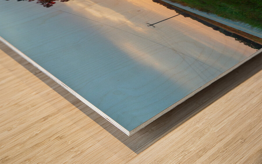 Red Sumac Tree Sunrise Countryside Wood print