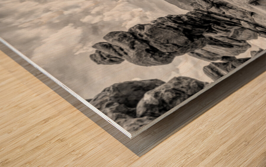 Pikes Peak View Behind Siamese Twins Grayscale Wood print