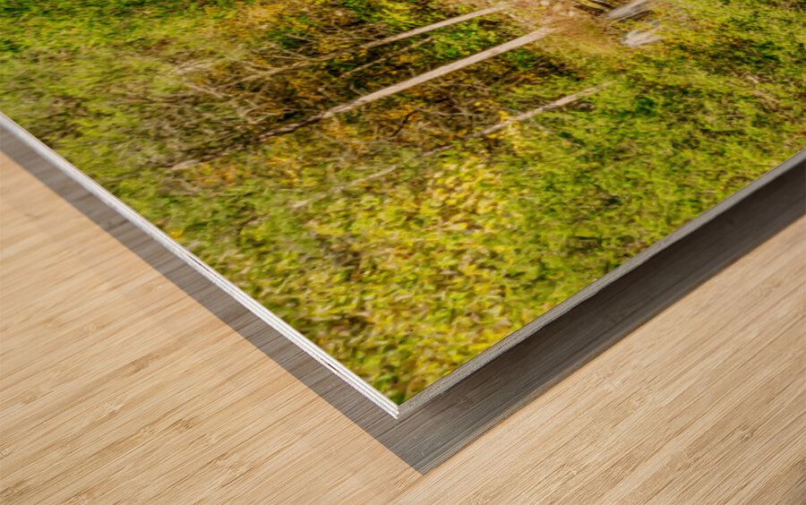 Sunlight On Thunder Falls Wood print