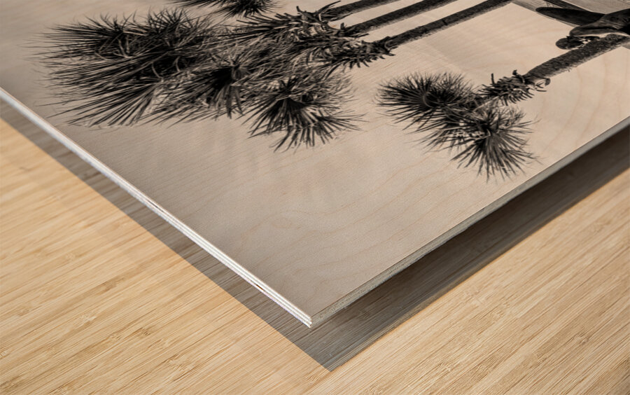 Paved Walkway To Pensacola Beach Grayscale Wood print