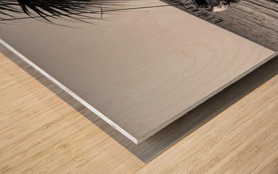 Gulf Breeze Evening Sailboat Grayscale Wood print