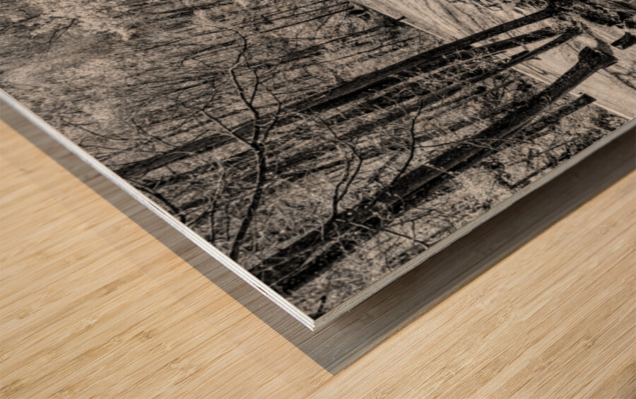 Spring Season Tranquility Grayscale Wood print