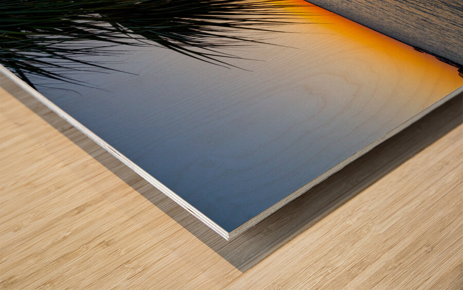 Gulf Breeze Palm Tree And Sailboat Sunset Wood print