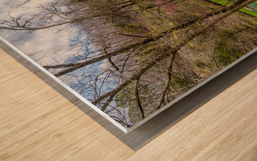 Walking Path On Spring Season Day Wood print