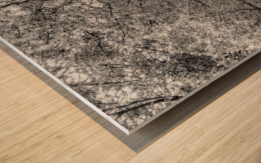 Spring Season Zen Garden Grayscale Wood print