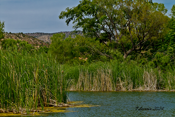 Arizona walking around Sedona 4 Digital Download