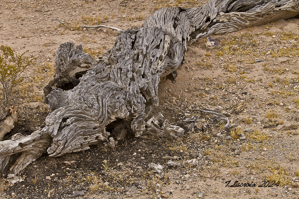 Casa Grande Ruins National Monument AZ 72 Digital Download