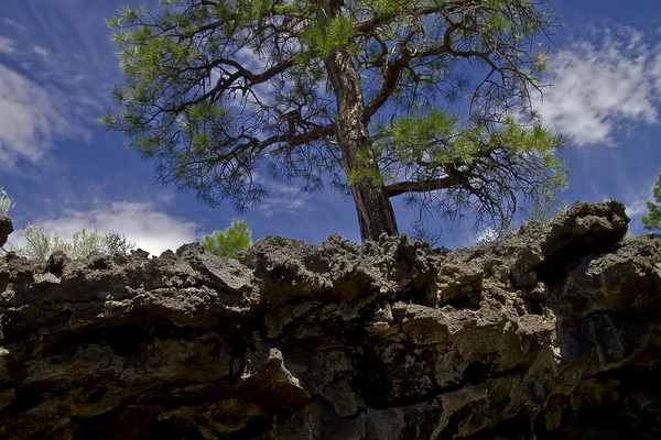 Sunset Crater Volcano National Monument AZ 46 15. Digital Download